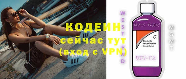 ешки Бородино