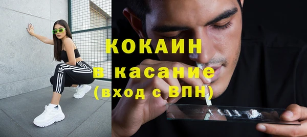 ешки Бородино