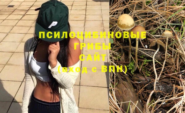 ешки Бородино