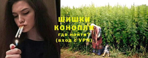 ешки Бородино